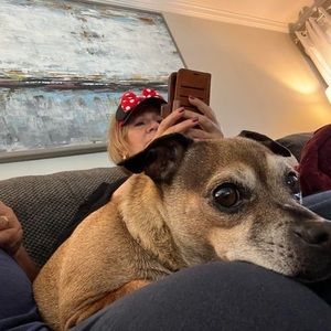 Meet your Posher, Robert